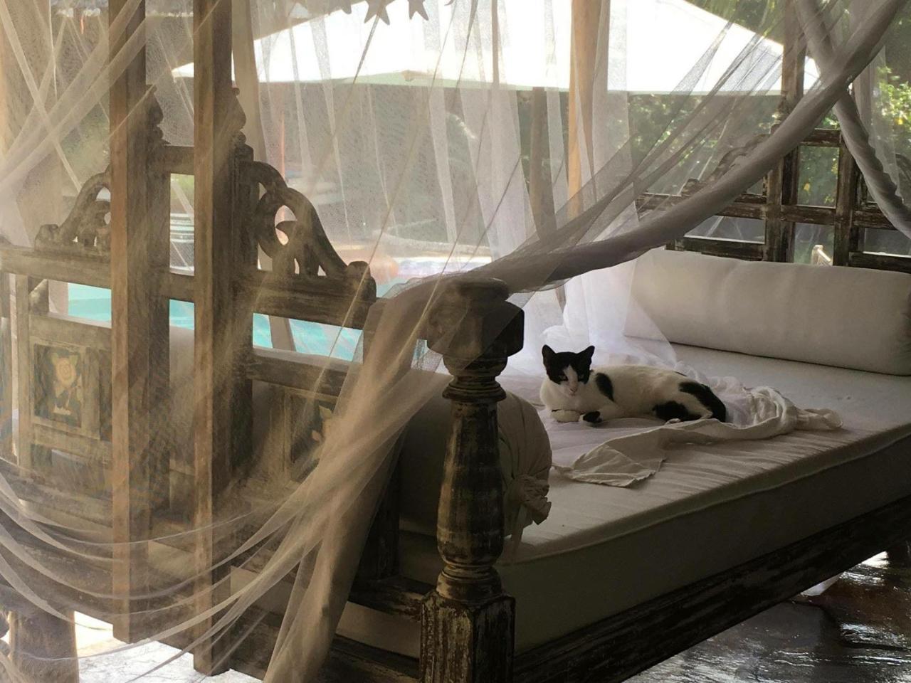 Pashmina House Watamu Exterior foto